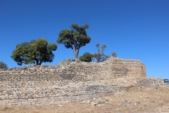 IMG_9925