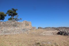 IMG_9927