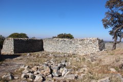 IMG_9935