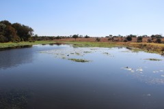 IMG_9938-Gweru-Antelope-Park