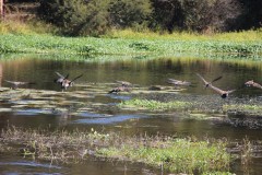 IMG_9949