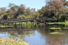 IMG_9951