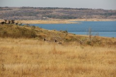 IMG_9979-Lake-Mutirikwe