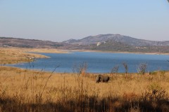 IMG_9984
