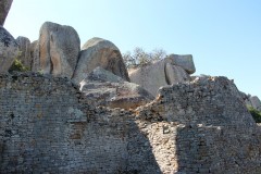 IMG_0005