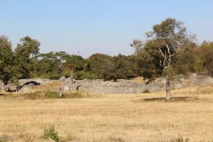 IMG_0011-Great-Zimbabwe-Valley-Enclosures