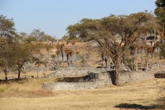 IMG_0012