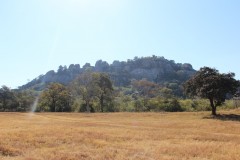 IMG_0020