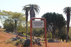 IMG_0029-Great-Zimbabwe-Ridge-Enclosures