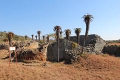 IMG_0035