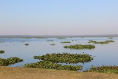 IMG_0063