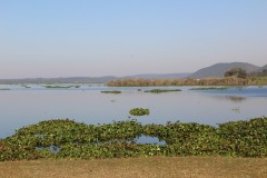 IMG_0064
