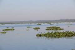 IMG_0065