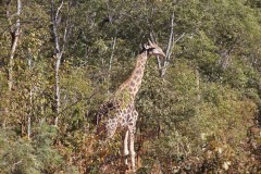 IMG_0074