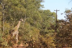 IMG_0075