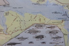 IMG_0078