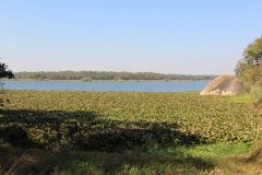 IMG_0089