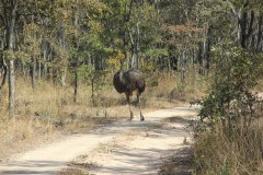 IMG_0091