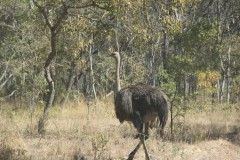 IMG_0093