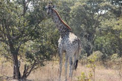 IMG_0097