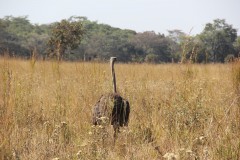 IMG_0100