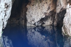IMG_0121
