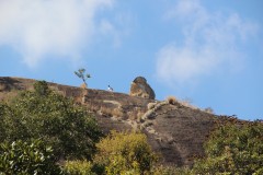 IMG_0150