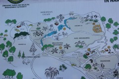 IMG_0177-Ewanrigg-Botanical-Garden