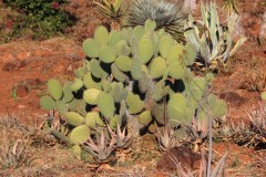 IMG_0182