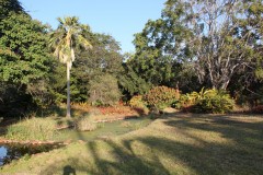 IMG_0200