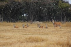 IMG_0240