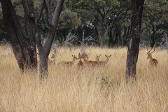 IMG_0249