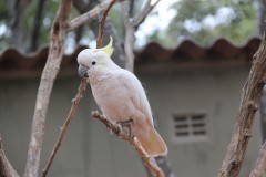 IMG_0260