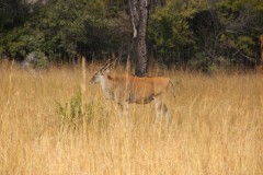 IMG_0266