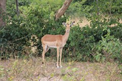 IMG_0278