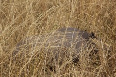 IMG_0319