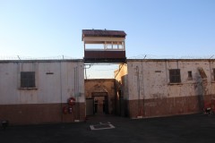 IMG_0447